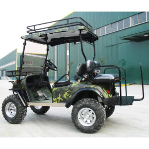 2+4 6 Seat Electric Off Road Golf Cart - EG2040ASZ