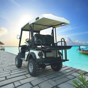 Custom Electric Hunting Off Road Golf Cart Cargo Truck Buggy Vehicle with Box Certification - EG2040ASZR
