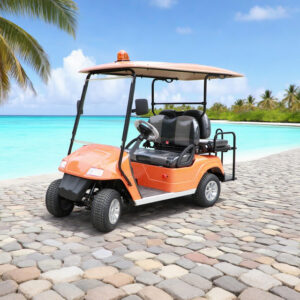 Custom Best 48V Mini Farm Electric Battery Lithium Golf Cart - EG202AK