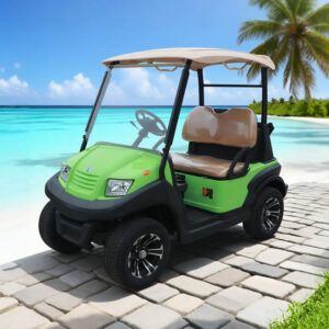 China Mini 2 Seater Electric Hunting Offroad Golf Off Road Buggy - EG2028HR