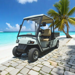 Custom 4 Seater Utility Vehicle Electric Buggy Off Road - EG2020ASZ