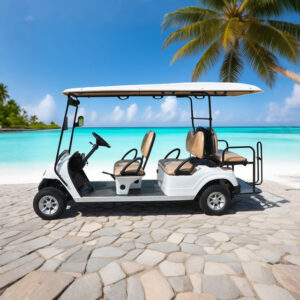 Custom Vehicle Sightseeing Bus Car 6 Passenger Person Seat Electric Golf Cart - EG2068K