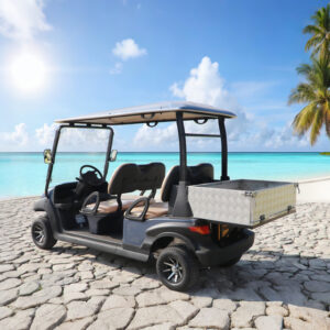4 Seater Electric Golf Cart with Cargo Box - EG204AH