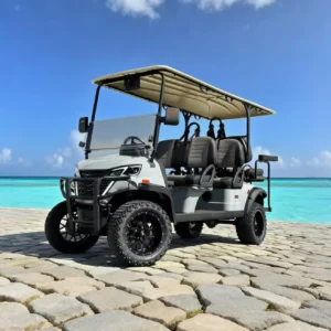 Hunting Electric 4+2 6 Seater Utility Golf Cart Manufacturer - EG204DKSZ