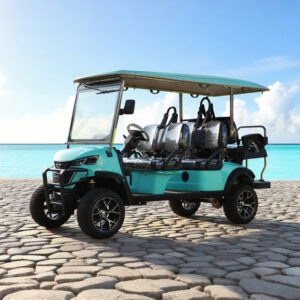 Hunting Electric 4+2 6 Seater Utility Golf Cart Manufacturer - EG204DKSZ