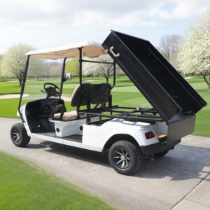 72V Electric 2wd Offroad Off Road Mini Pickup Truck Hunting Golf Cart - EG6042A